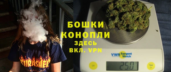ПСИЛОЦИБИНОВЫЕ ГРИБЫ Баксан