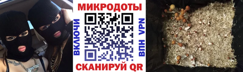 Псилоцибиновые грибы Psilocybine cubensis  Купить закладки  Аша 